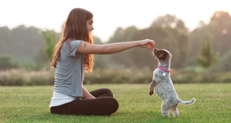 basic-puppy-training