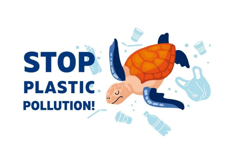 stop