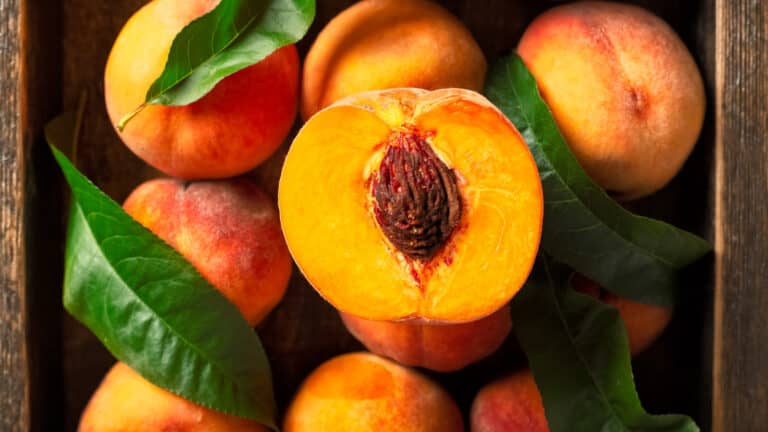 Are peaches🍑 good for you?