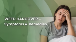 Weed Hangover – Symptoms, Causes & Remedies