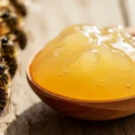 Royal Jelly Benefits for Health